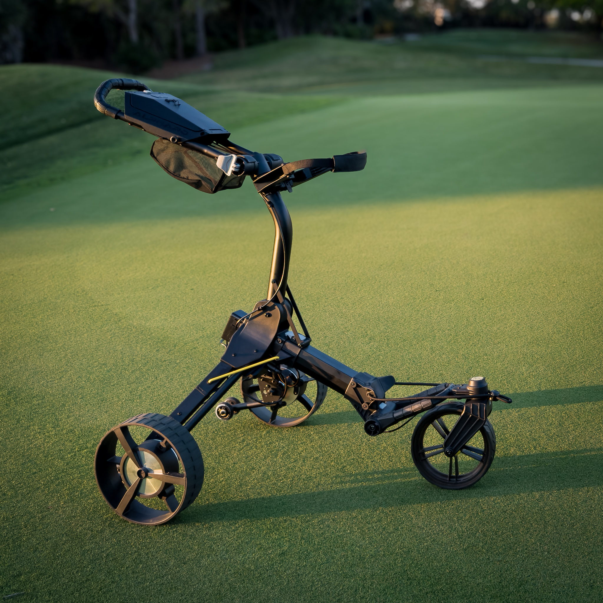 Cybercart Golf Cart